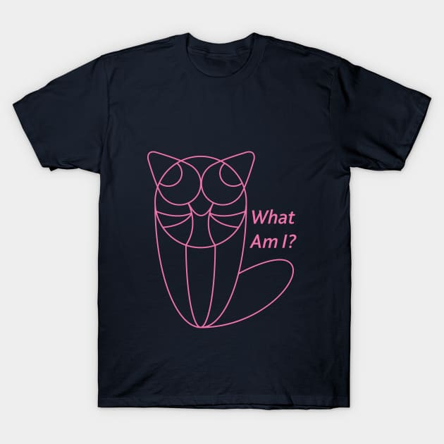 What Am I? T-Shirt by sumlam